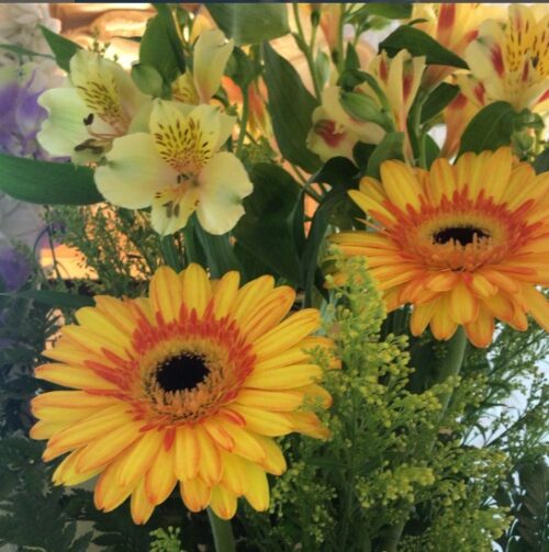 パリオリンピックと葬儀の話 スタッフのひとりごと