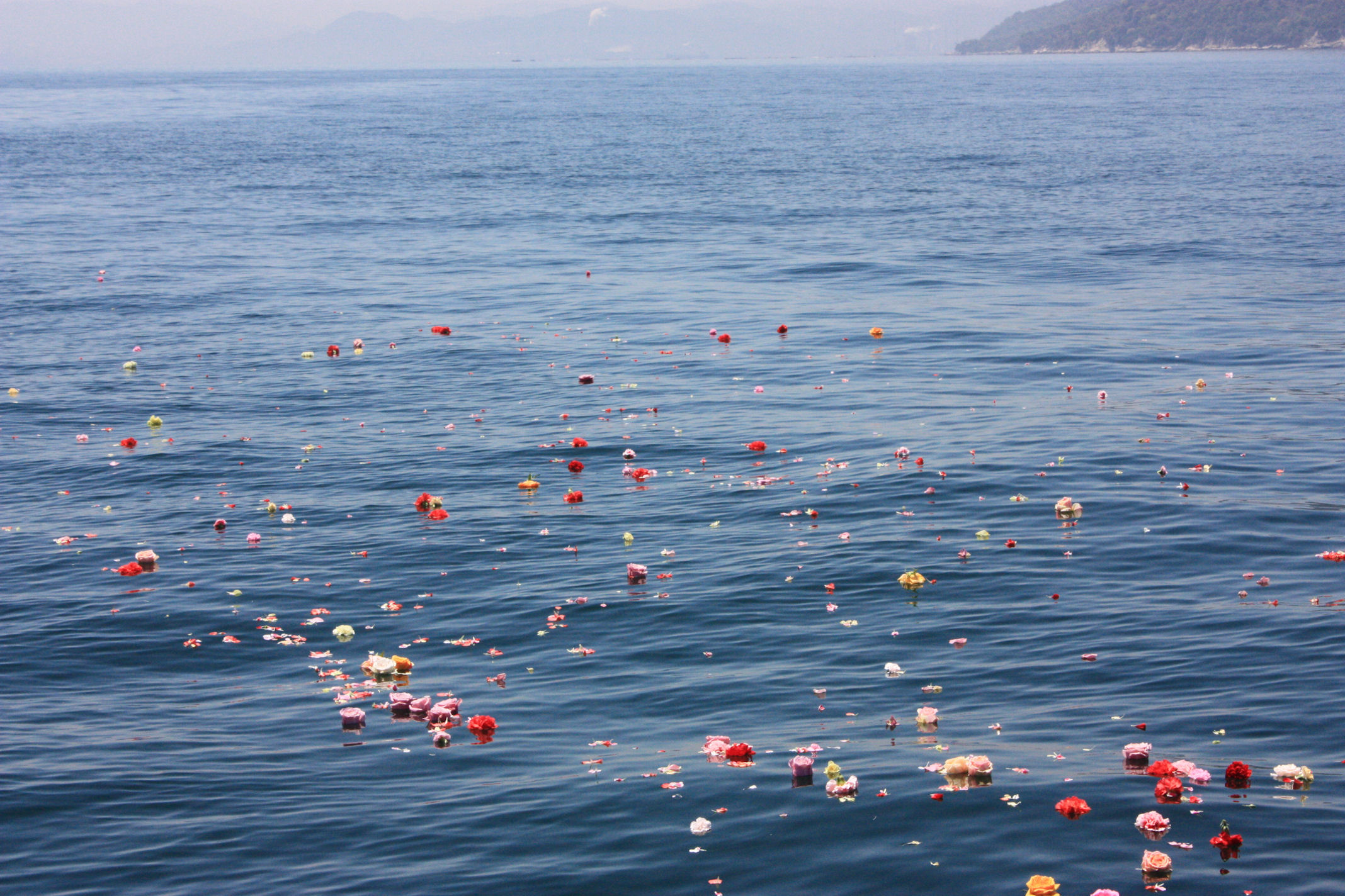 広島で海洋散骨をはじめて10年以上 アスターせとの歩み