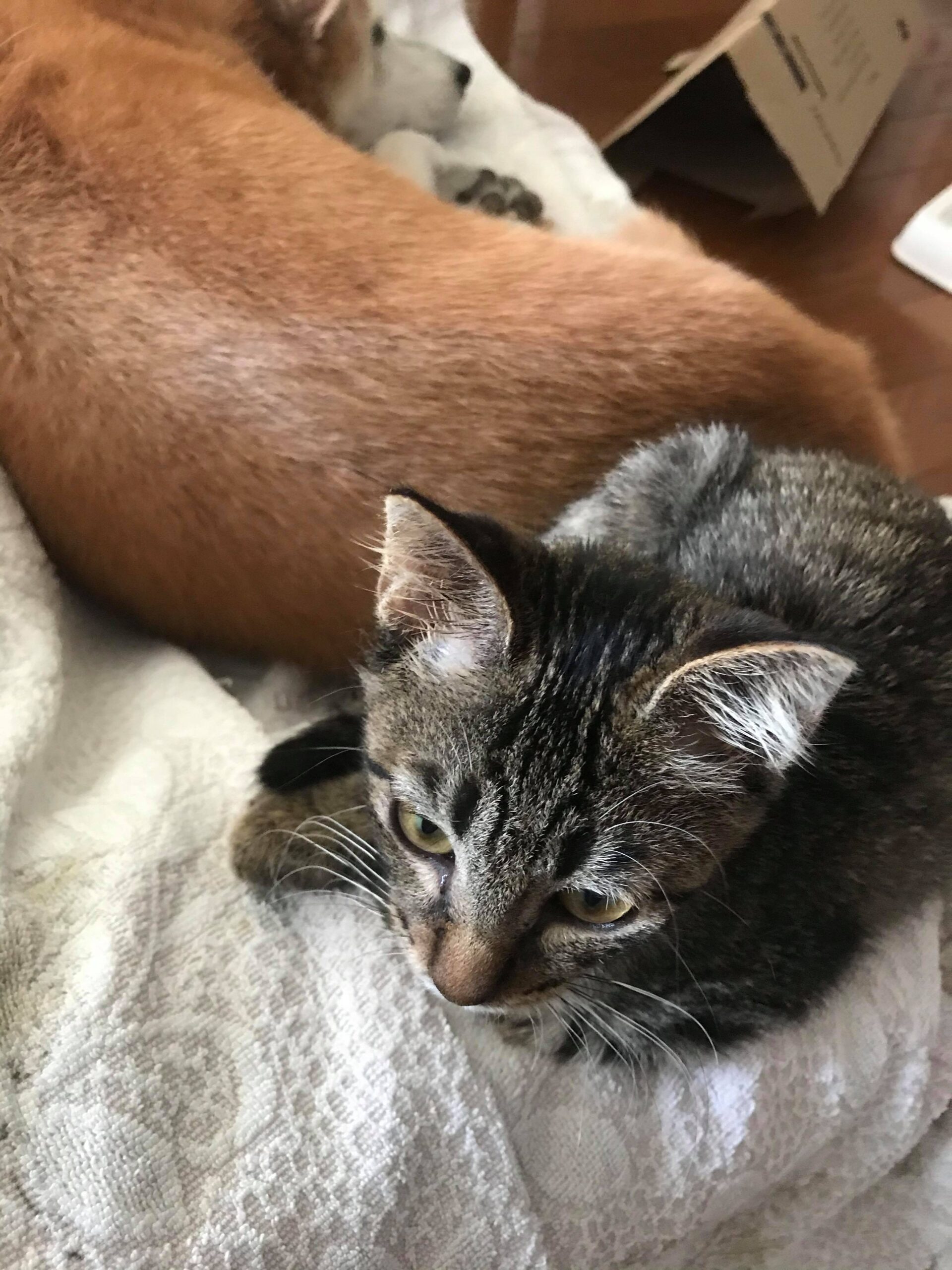 命は、思っているより自由で、深い。