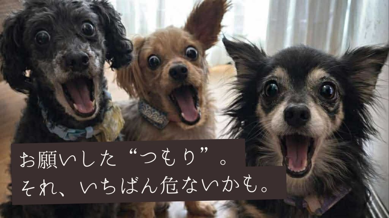 お願いした“つもり”が、いちばん危ない