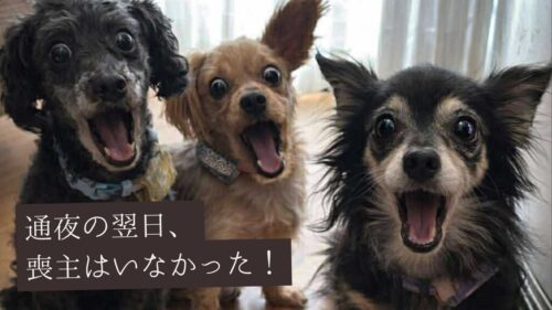 通夜の翌日、喪主はいなかった