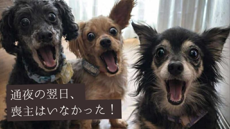 通夜の翌日、喪主はいなかった