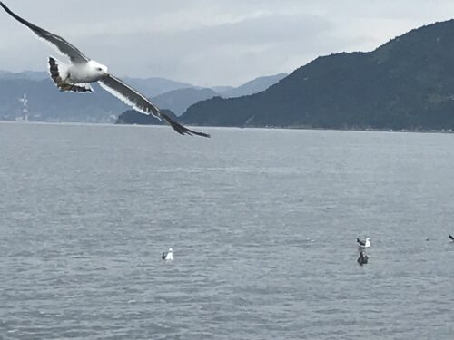 一粒残らず、という言葉の重さ