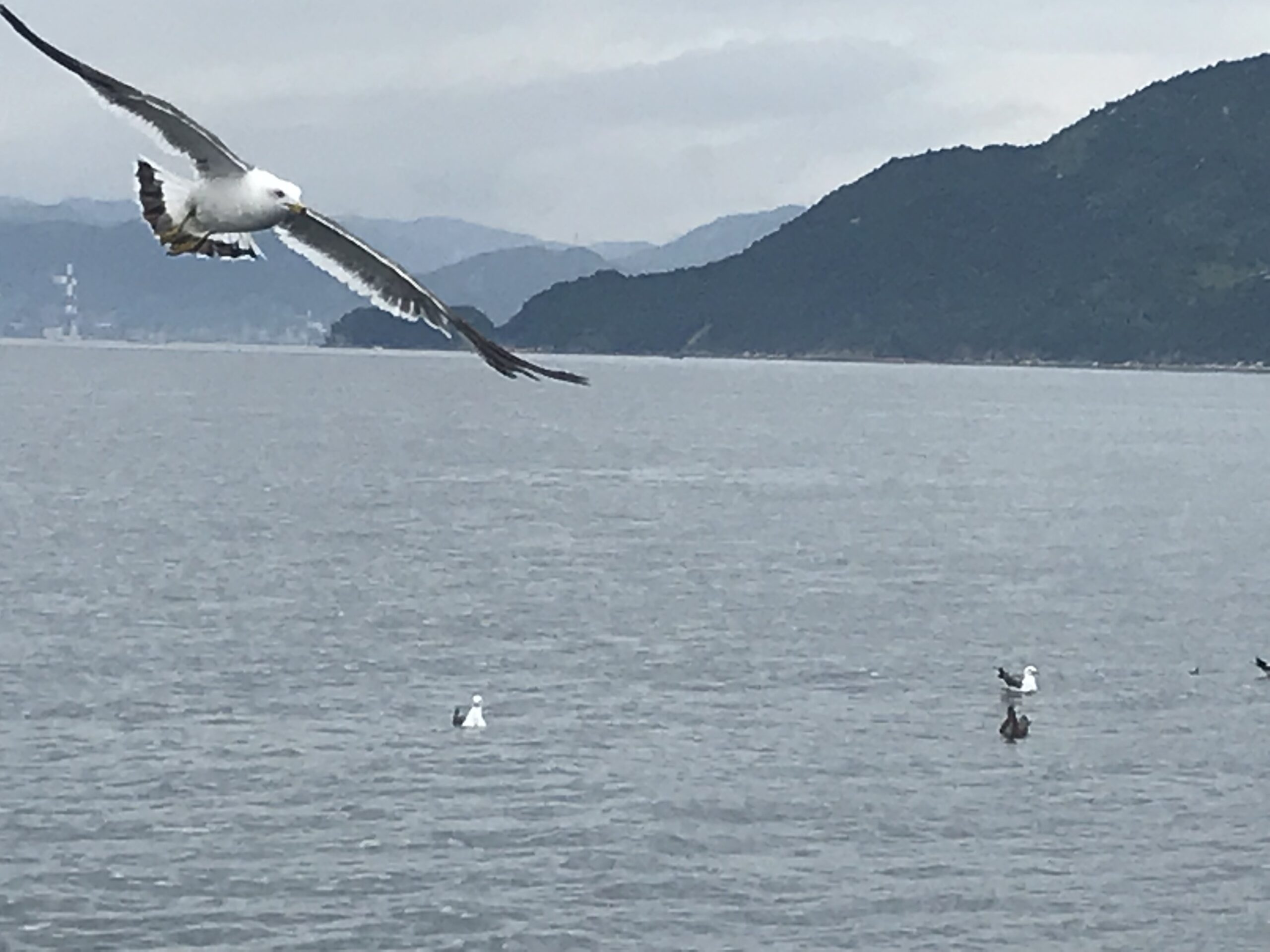 一粒残らず、という言葉の重さ